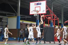 Bola Basket